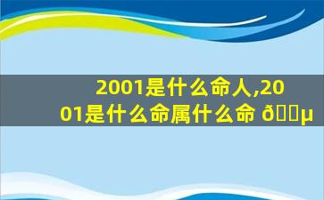 2001是什么命人,2001是什么命属什么命 🐵